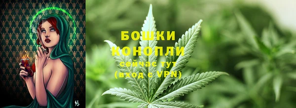 дурь Пересвет